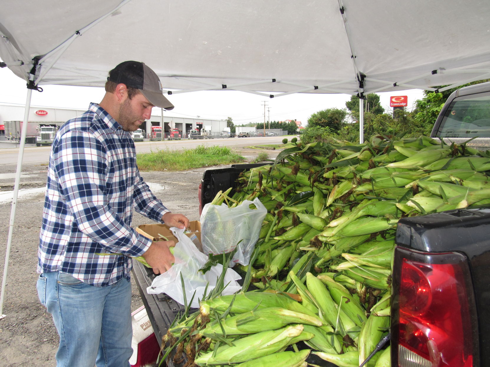 Whitesides Corn-08